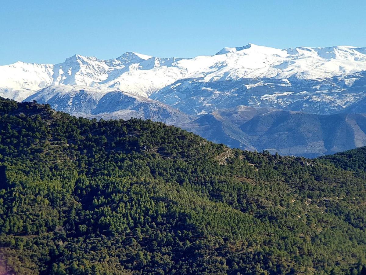 Rincón del Genil Cenes De La Vega Exterior foto